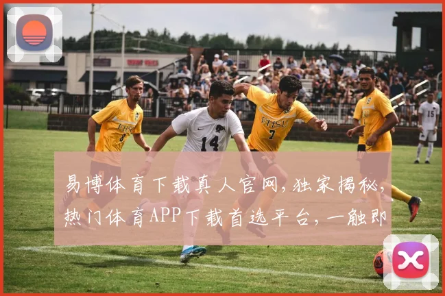 易博体育下载真人官网,独家揭秘,热门体育APP下载首选平台,一触即达
