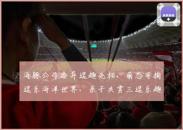 海豚公母各异逗趣亮相，萌态可掬逗乐海洋世界，亲子共赏三逗乐趣多多