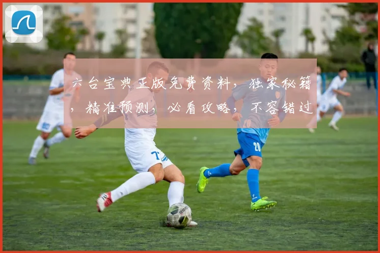 六台宝典正版免费资料，独家秘籍，精准预测，必看攻略，不容错过，速来领取