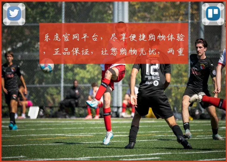 乐虎官网平台，尽享便捷购物体验，正品保证，让您购物无忧，两重优惠，速来选购